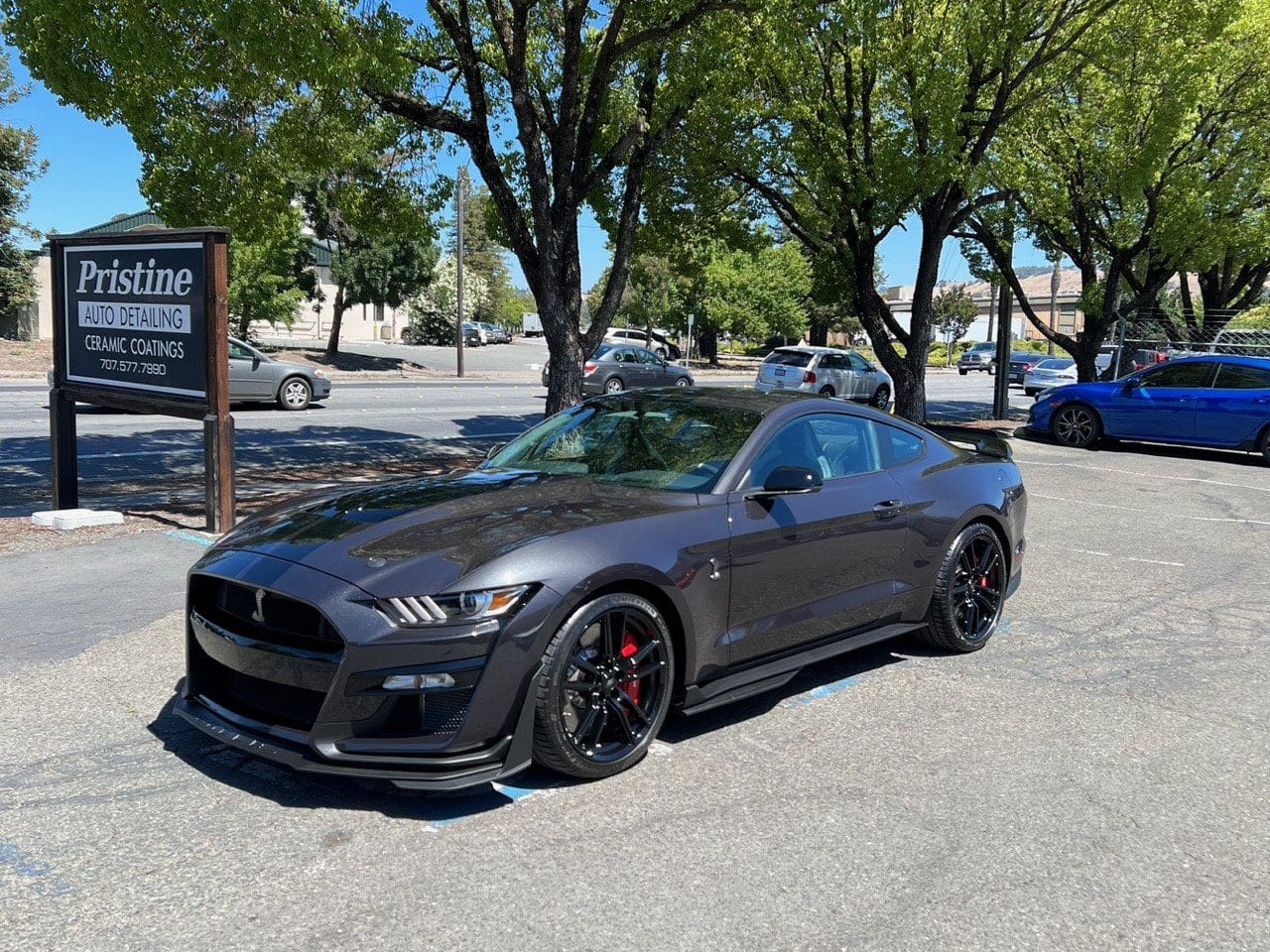 Dark gray sports car parked under trees