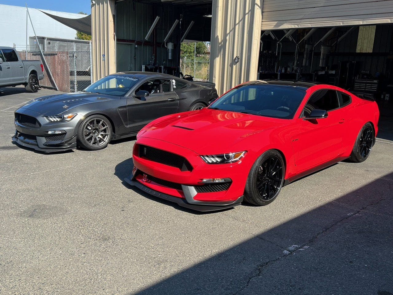 Red and gray Ford Mustangs parked outside